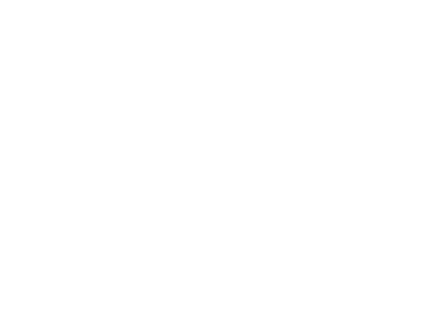 hc center mainstream logo white